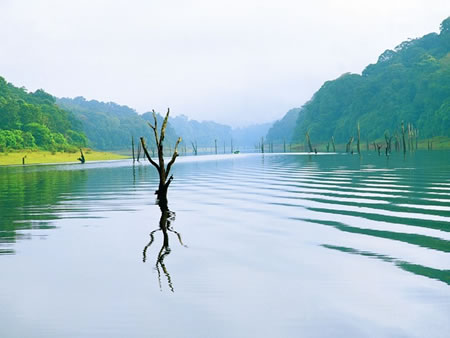 Periyar South India 1 