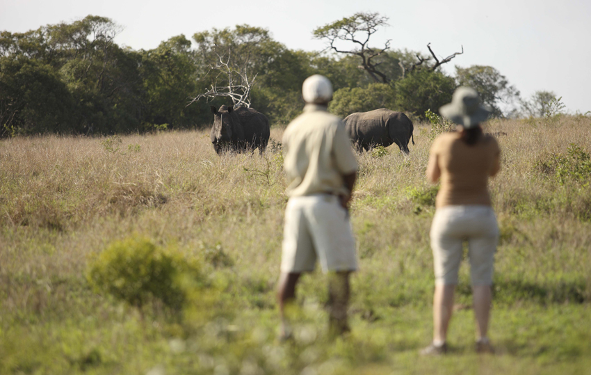 Phinda Andbeyond Hluhluwe Kwazulu Natal South Africa 17