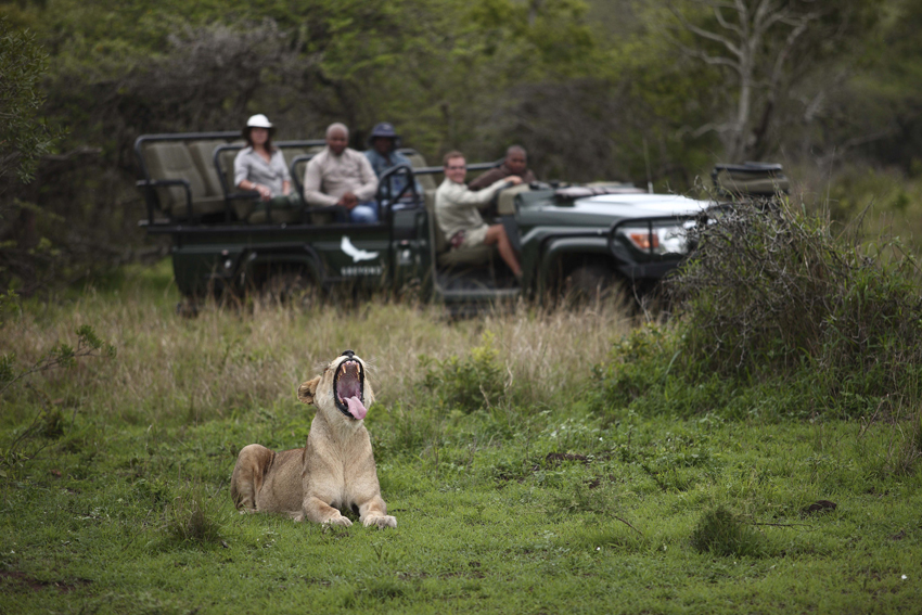 Phinda Andbeyond Hluhluwe Kwazulu Natal South Africa 20