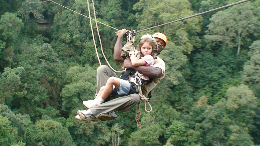 Three Trees At Spioenkop Kwazulu Natal South Africa 24