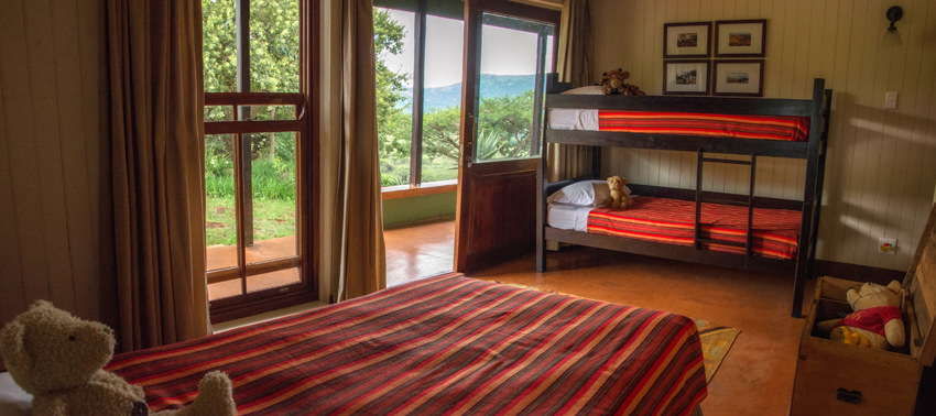 Three Trees At Spioenkop Kwazulu Natal South Africa 27