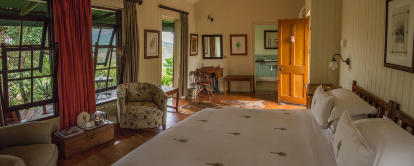 Three Trees At Spioenkop Kwazulu Natal South Africa 28