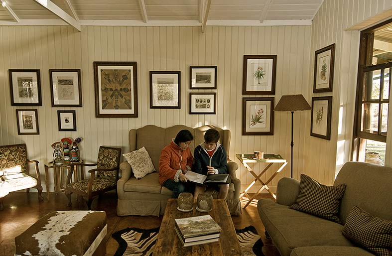 Three Trees At Spioenkop Kwazulu Natal South Africa 31