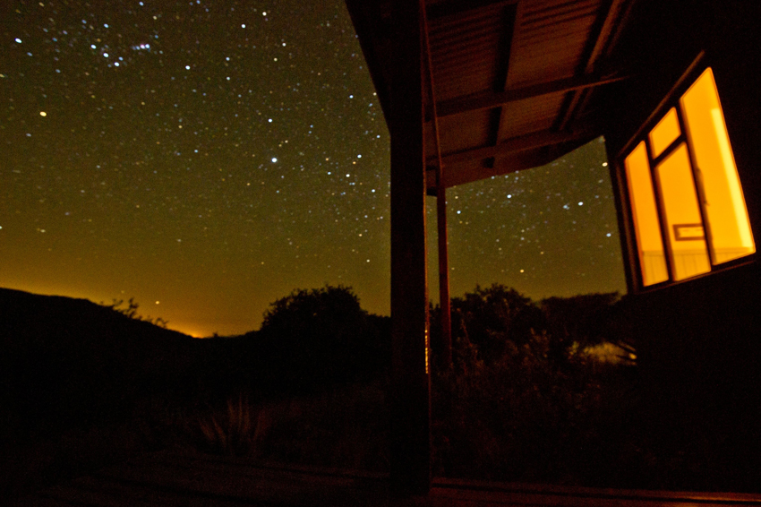 Three Trees At Spioenkop Kwazulu Natal South Africa 37