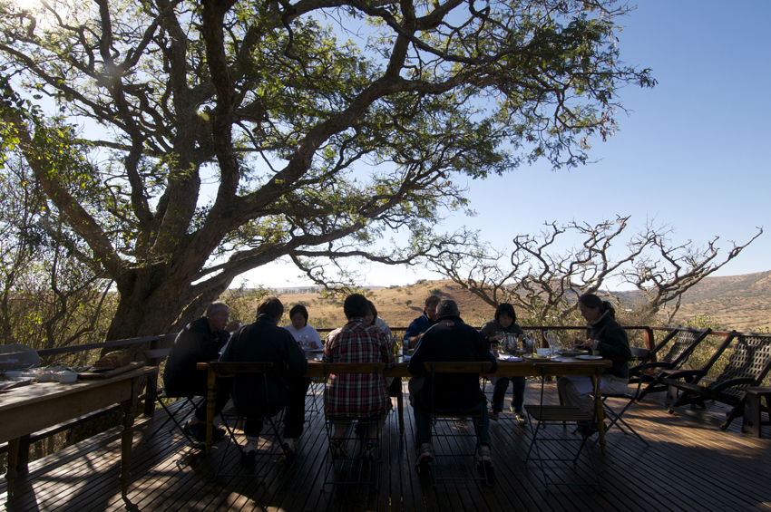 Three Trees At Spioenkop Kwazulu Natal South Africa 3