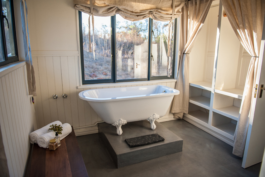 Three Trees At Spioenkop Kwazulu Natal South Africa 9