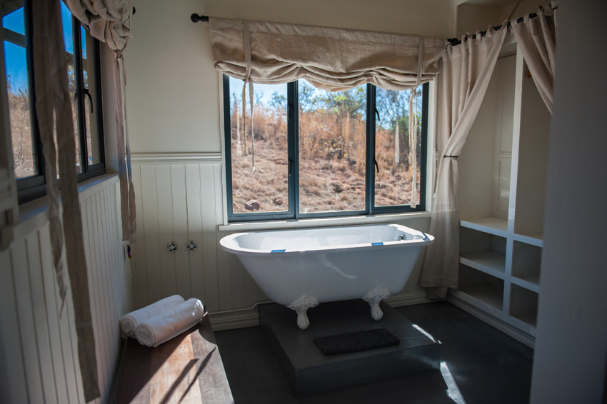 Three Trees At Spioenkop Kwazulu Natal South Africa 11