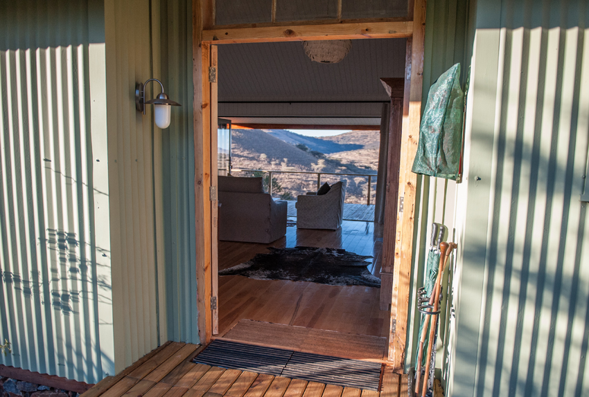 Three Trees At Spioenkop Kwazulu Natal South Africa 14