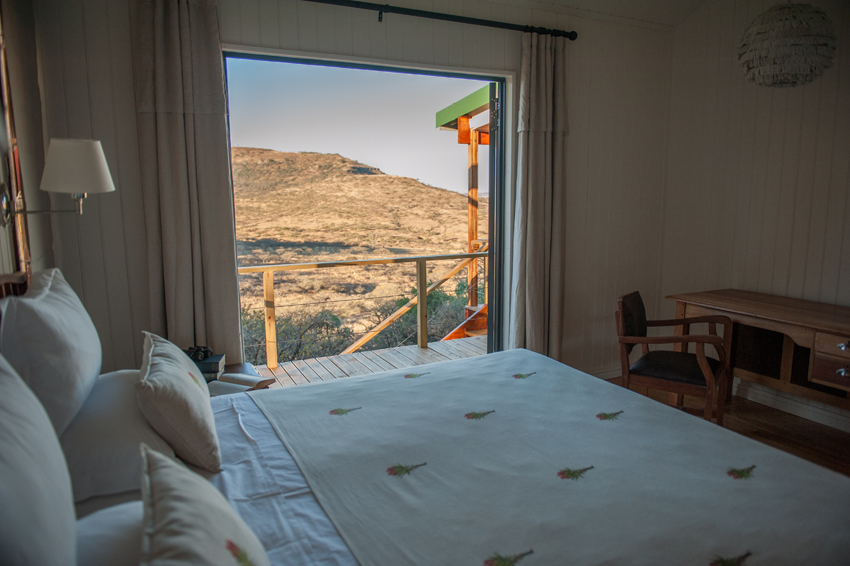 Three Trees At Spioenkop Kwazulu Natal South Africa 15