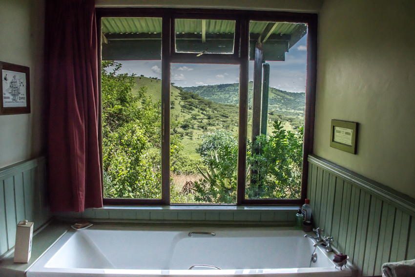 Three Trees At Spioenkop Kwazulu Natal South Africa 22