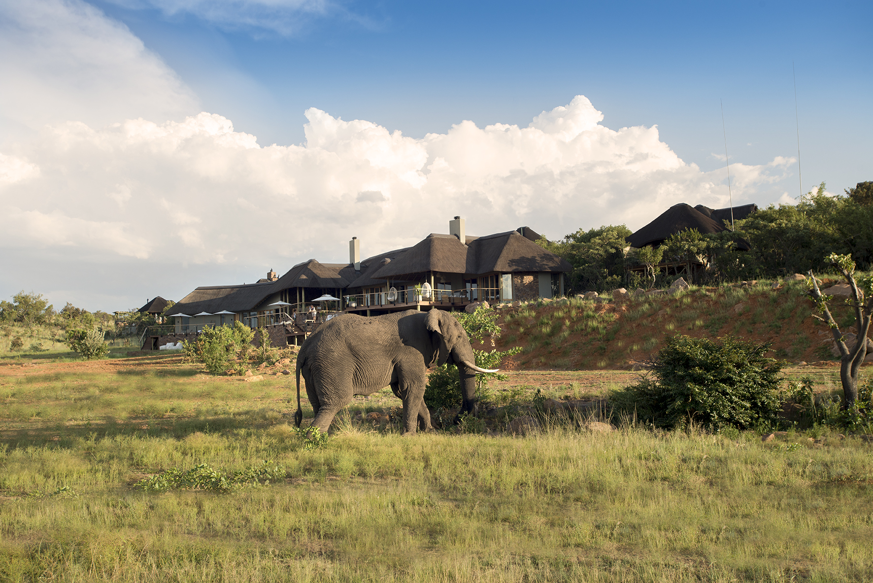 Mdondoro Waterberg South Africa 54