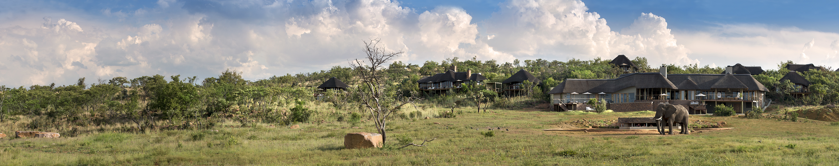 Mdondoro Waterberg South Africa 84