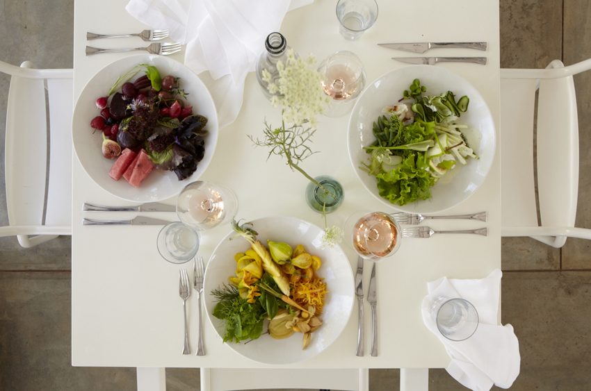 Babylonstoren Winelands South Africa 23