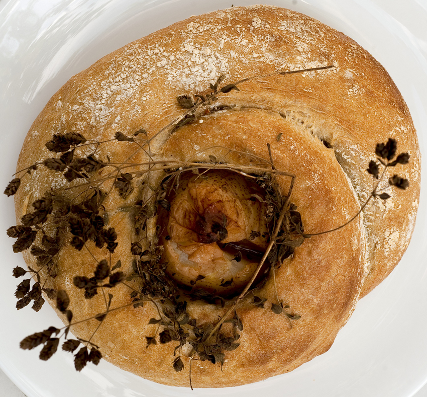 Babylonstoren Winelands South Africa 29