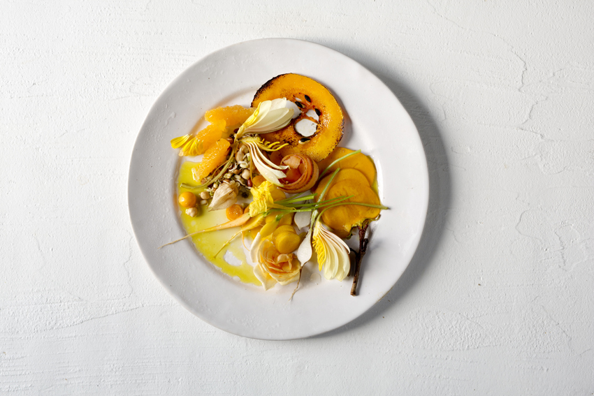 Babylonstoren Winelands South Africa 31