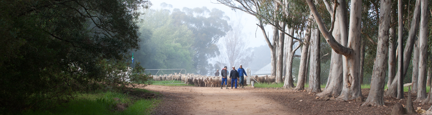 Bartholomeus Klip Winelands South Africa 8