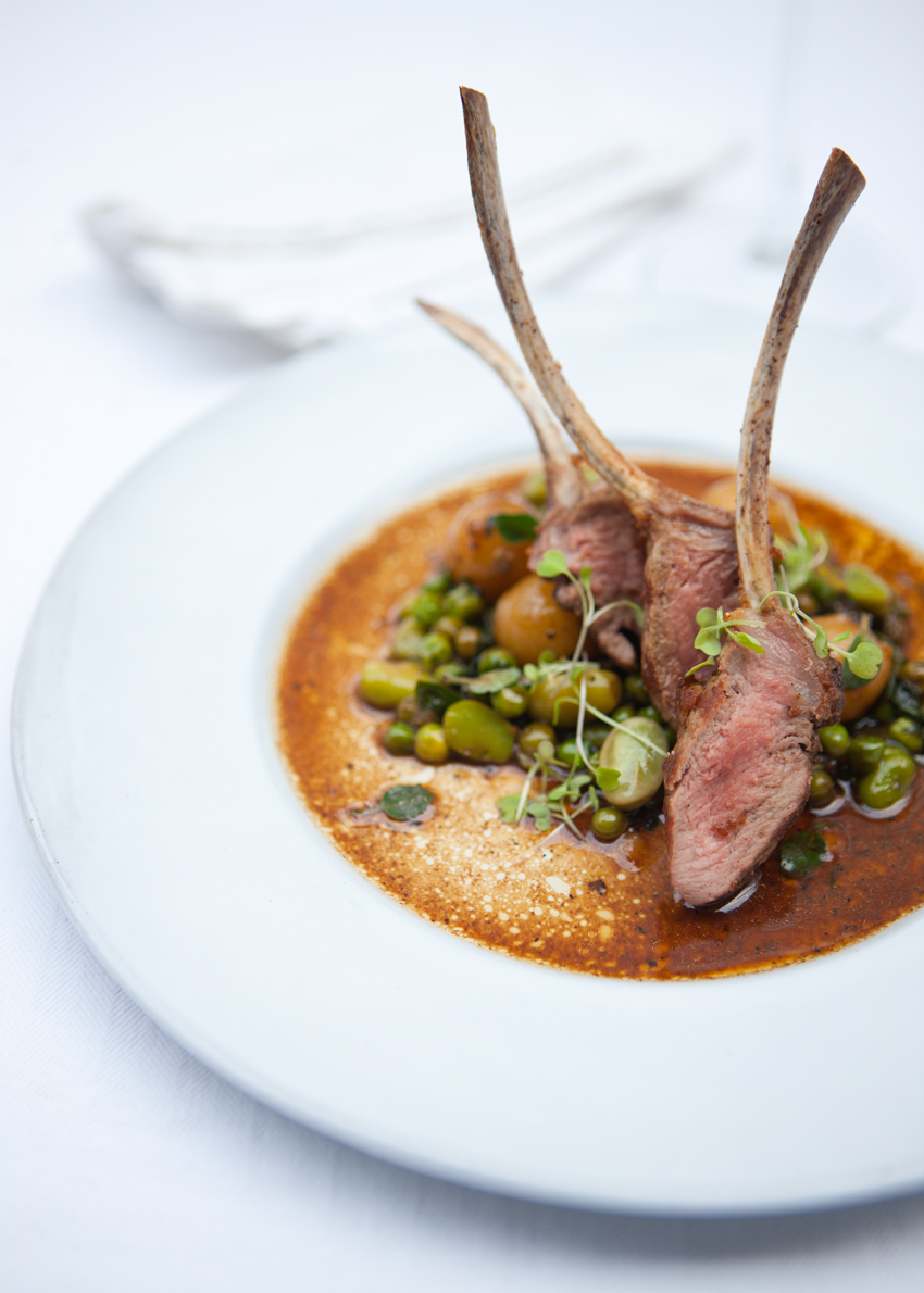 Bartholomeus Klip Winelands South Africa 9