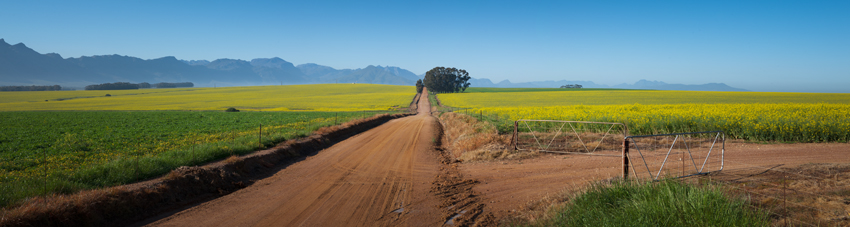 Bartholomeus Klip Winelands South Africa 6