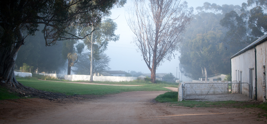 Bartholomeus Klip Winelands South Africa 7