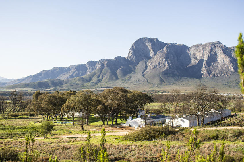 Boschedal Winelands South Africa 20