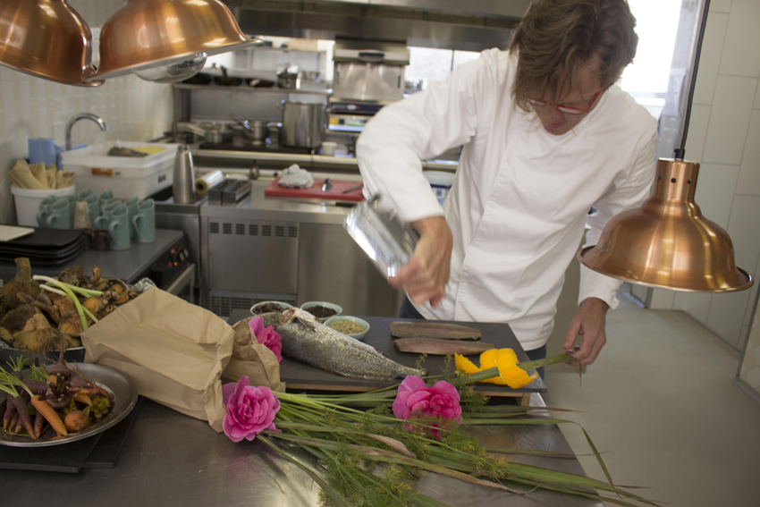 Boschedal Winelands South Africa 22