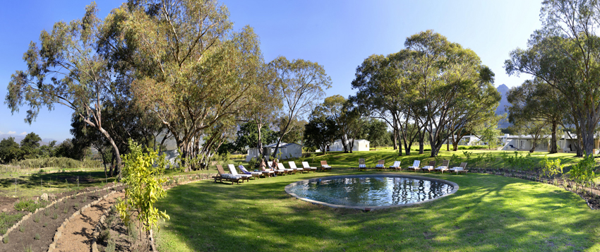 Boschedal Winelands South Africa 42