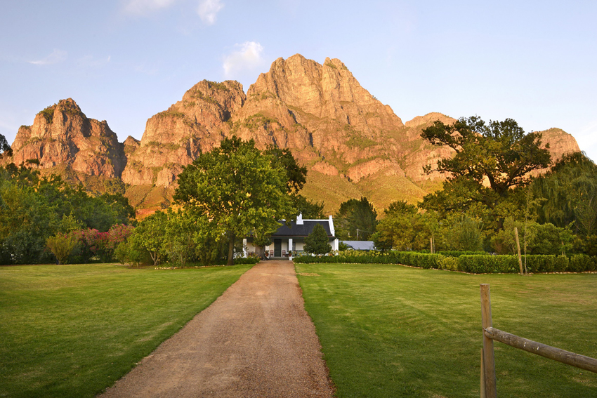 Boschedal Winelands South Africa 44