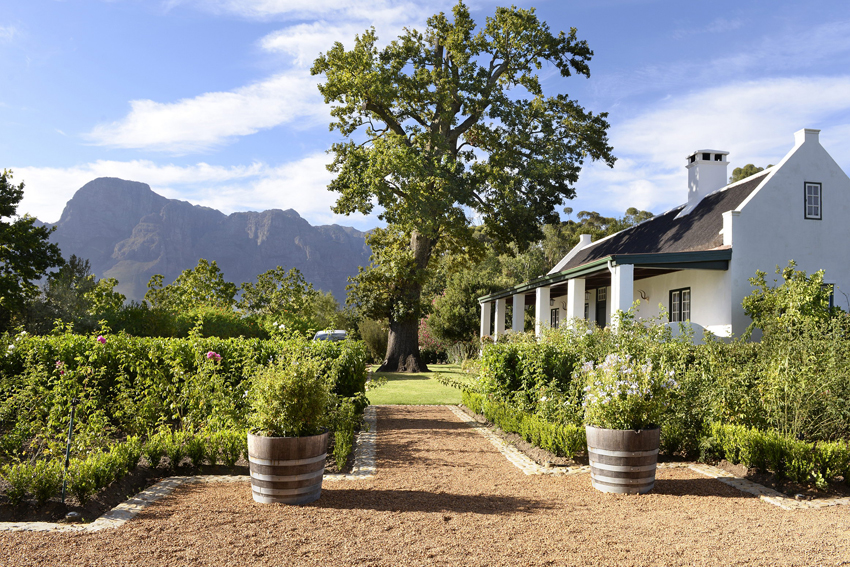 Boschedal Winelands South Africa 46