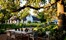 Boschedal Winelands South Africa 48
