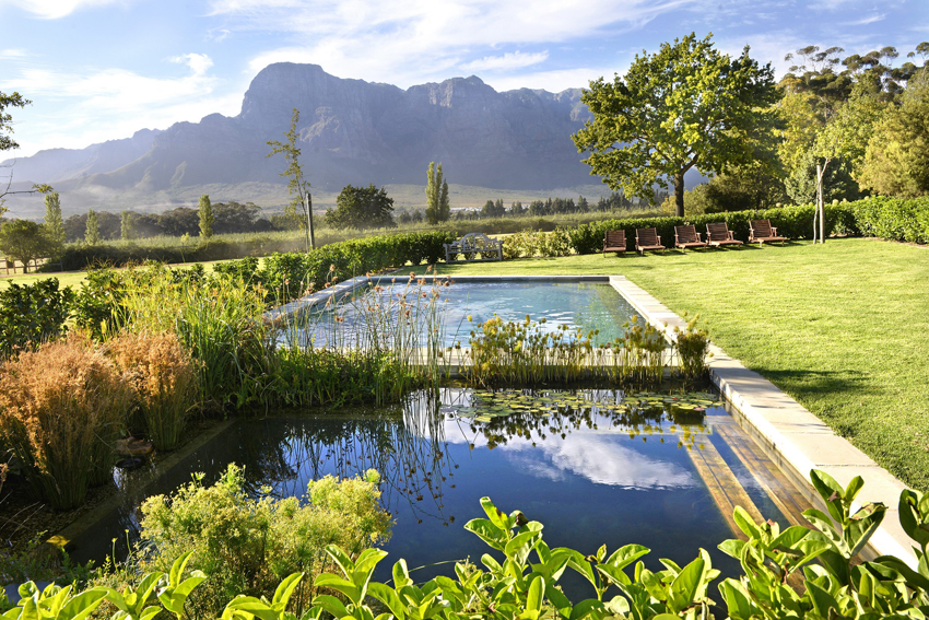 Boschedal Winelands South Africa 49