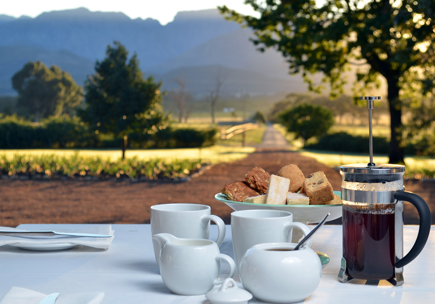 Boschedal Winelands South Africa 55