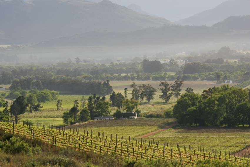 Boschedal Winelands South Africa 56