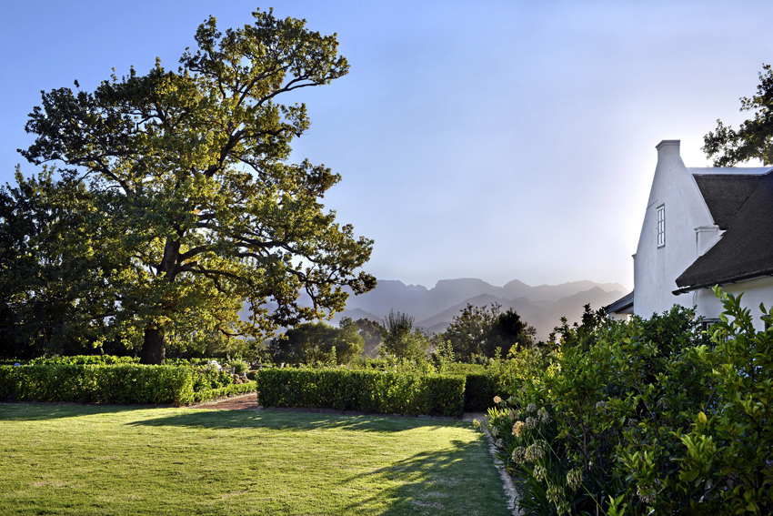 Boschedal Winelands South Africa 59