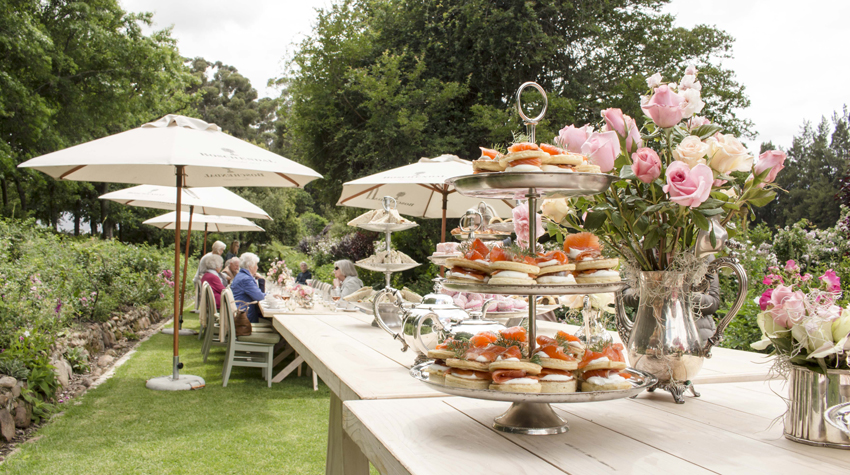 Boschedal Winelands South Africa 65