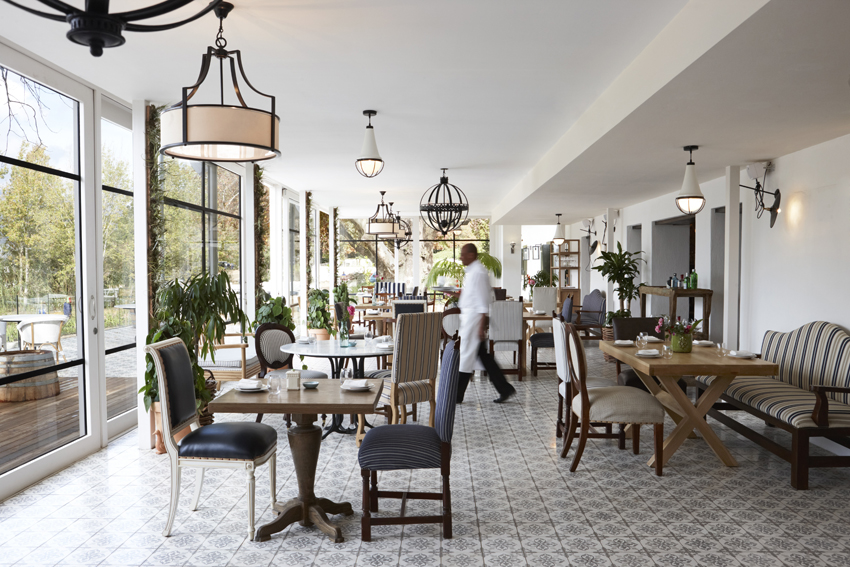 Boschedal Winelands South Africa 73