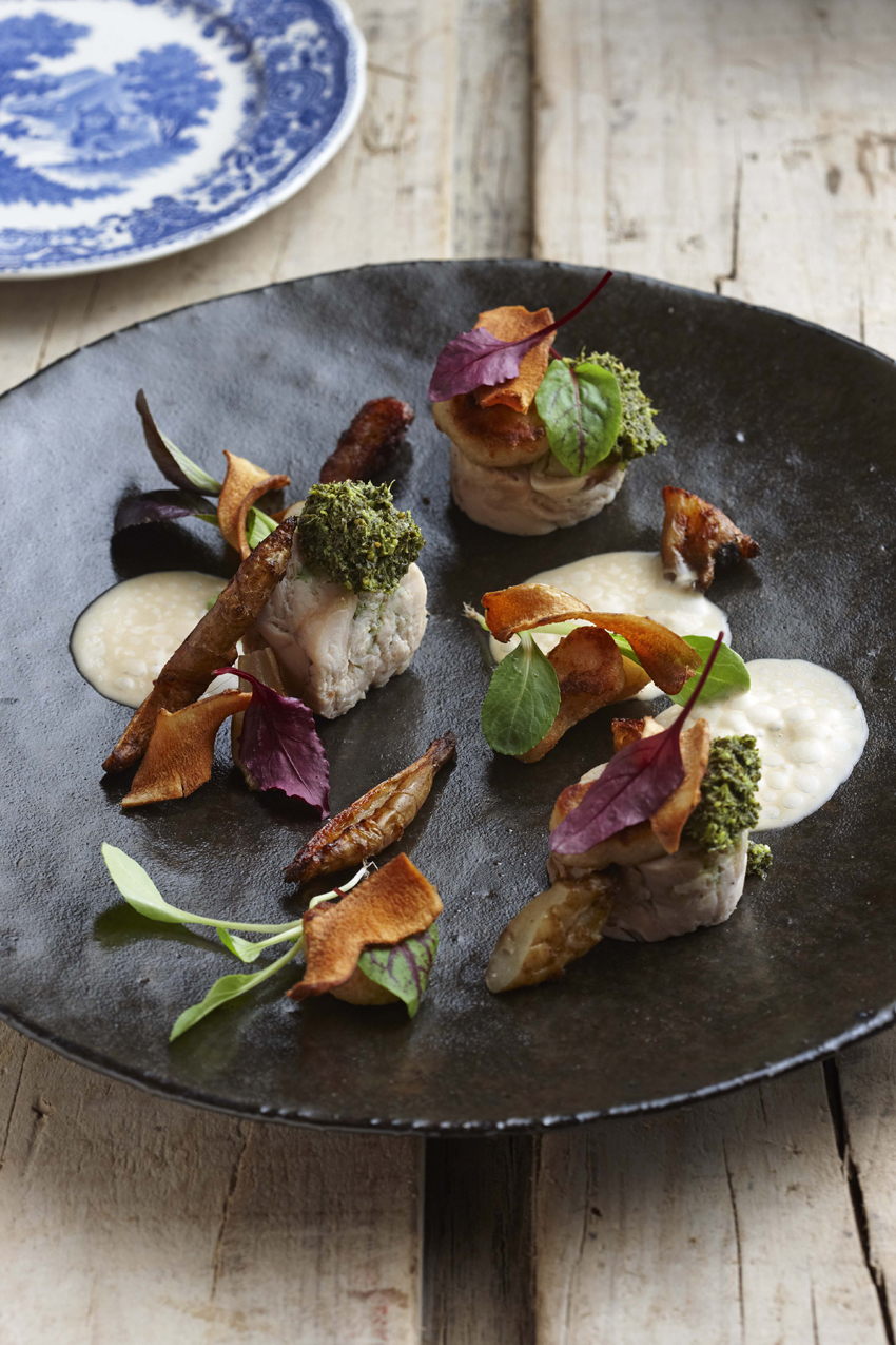 Boschedal Winelands South Africa 1