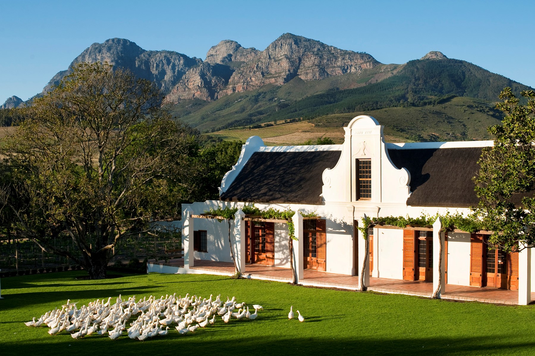 South Africa Babylonstoren Winelands South Africa 1