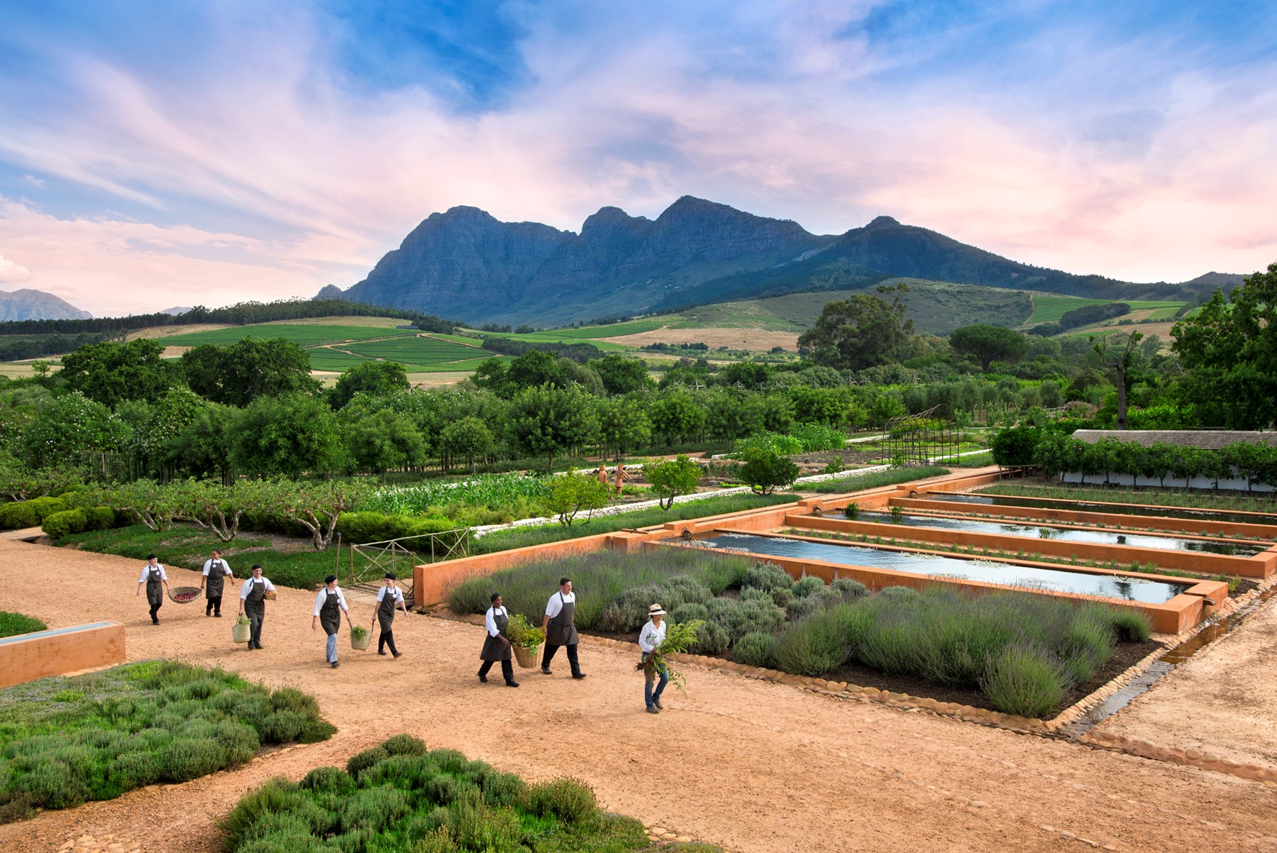 South Africa Babylonstoren Winelands South Africa 2