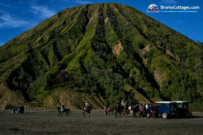 Bromo Cottages Java Indonesia 6