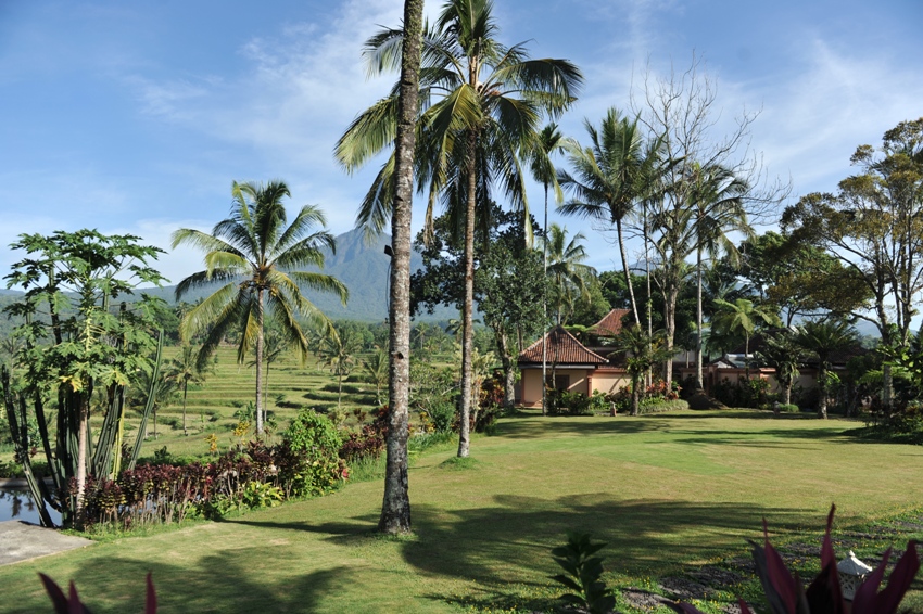 Ijen Resort Java Indonesia 11