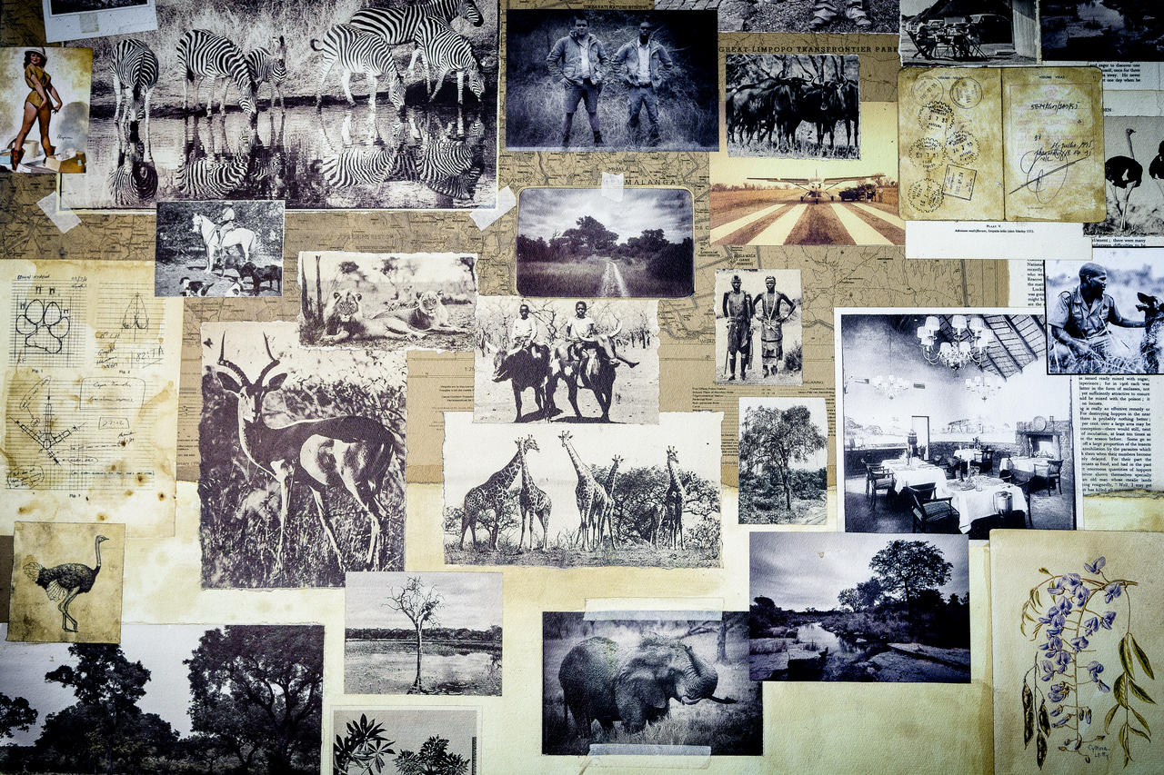 Singita Ebony Lodge Kruger National Park South Africa 10