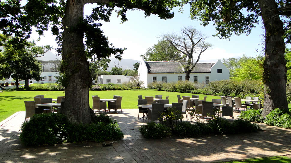 Steenberg Farm And Vineyards Winelands South Africa 7