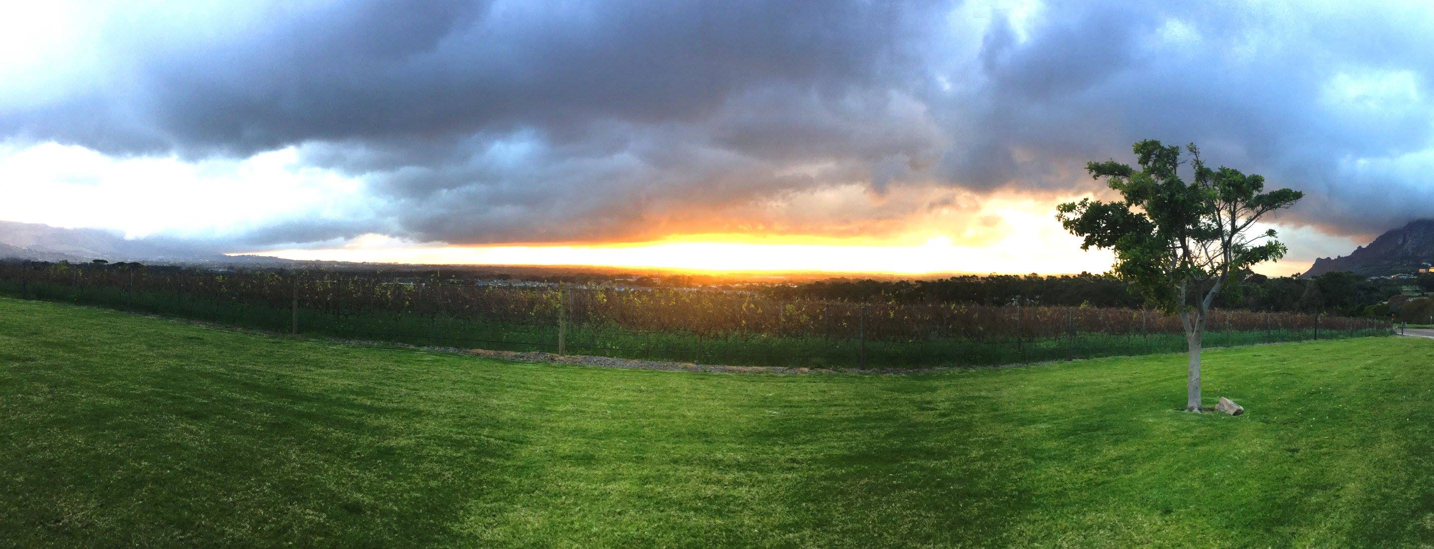 Steenberg Farm And Vineyards Winelands South Africa 17