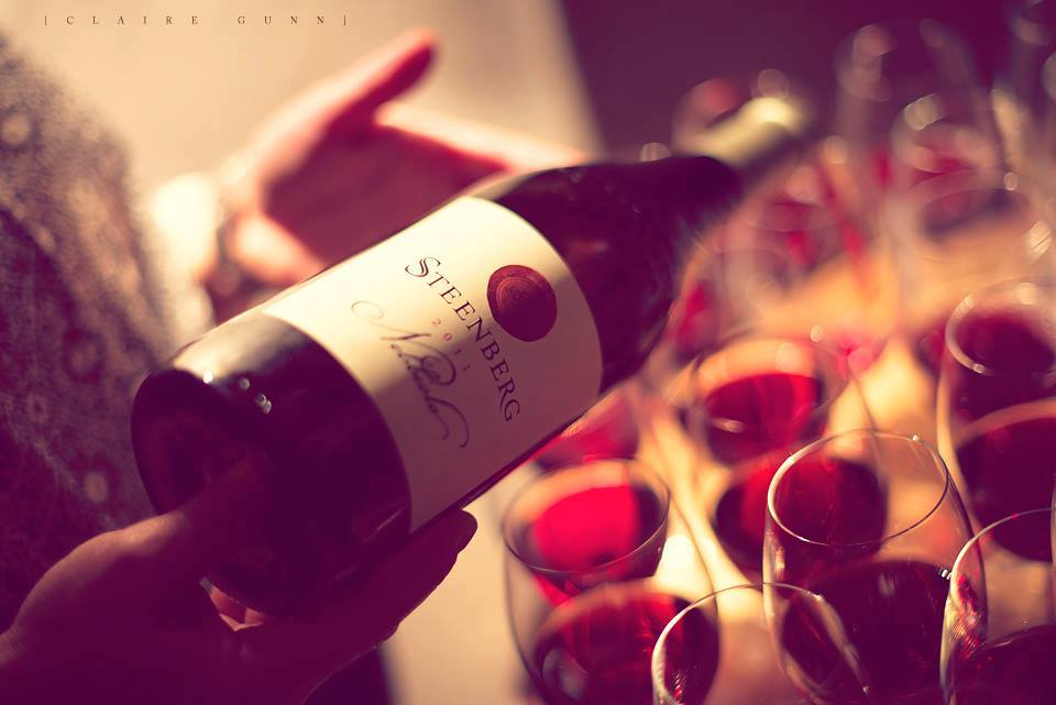 Steenberg Farm And Vineyards Winelands South Africa 18