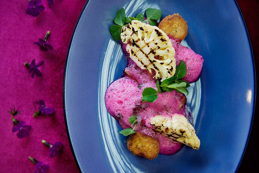 Steenberg Farm And Vineyards Winelands South Africa 31