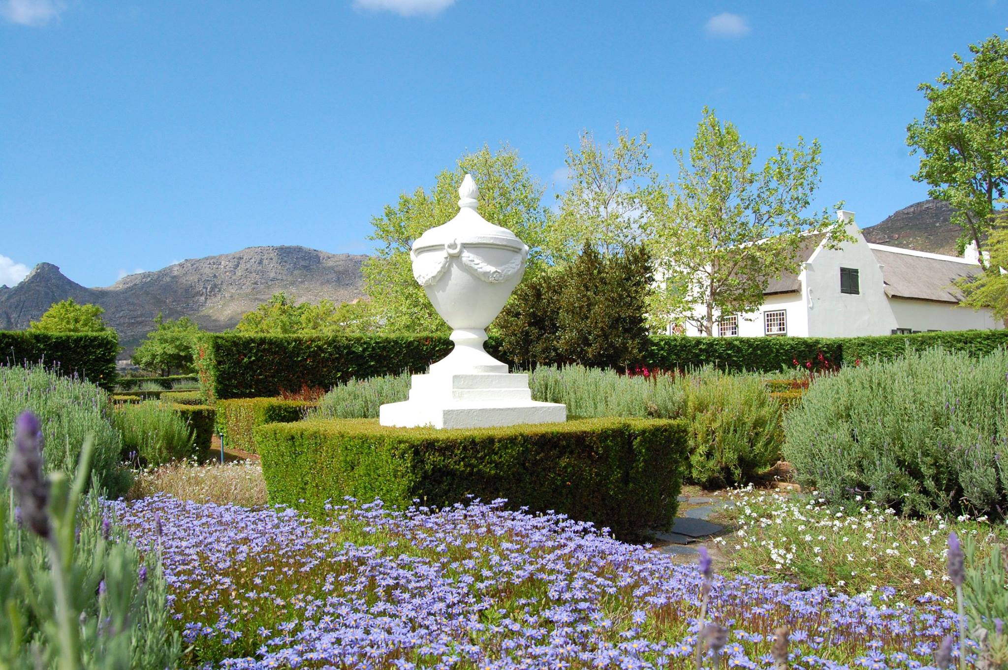 Steenberg Farm And Vineyards Winelands South Africa 37