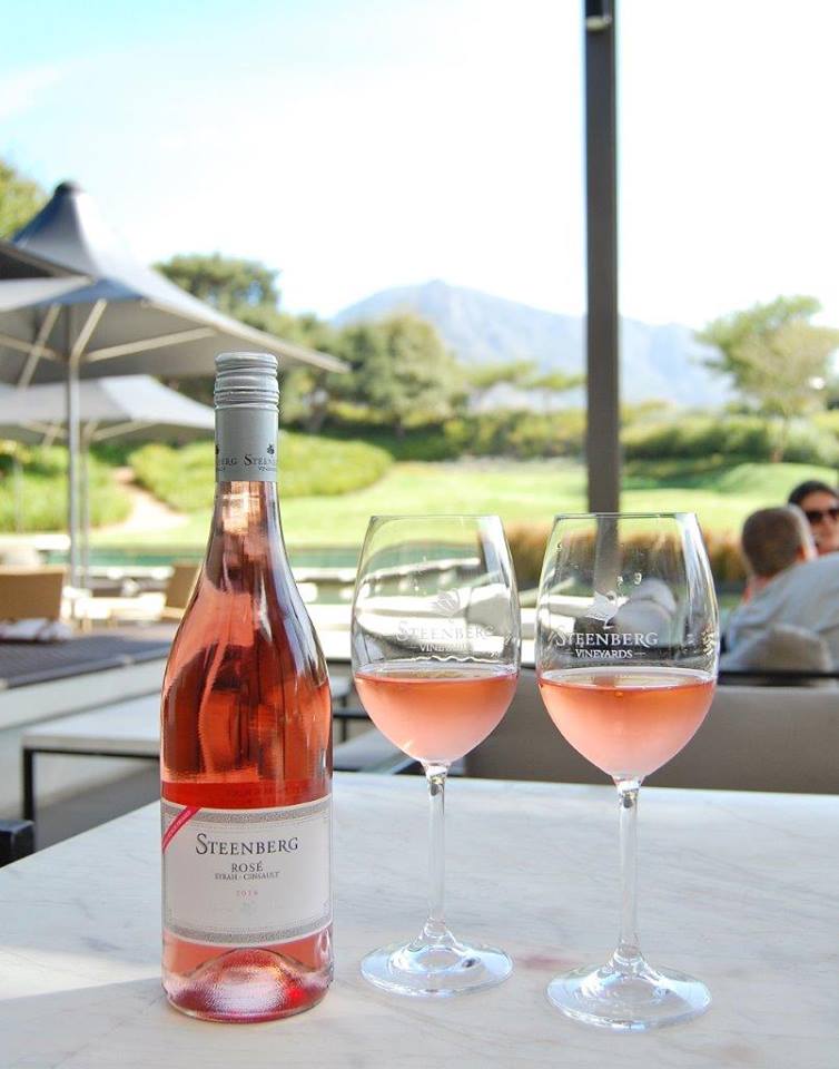 Steenberg Farm And Vineyards Winelands South Africa 38