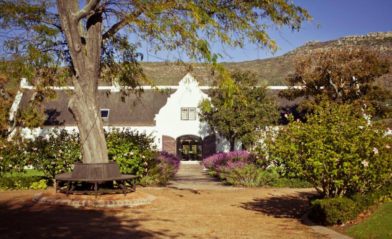 Steenberg Farm And Vineyards Winelands South Africa 39