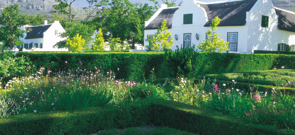 Steenberg Farm And Vineyards Winelands South Africa 45