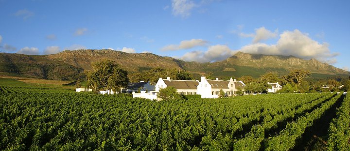 Steenberg Farm And Vineyards Winelands South Africa 3